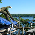 photo gallery